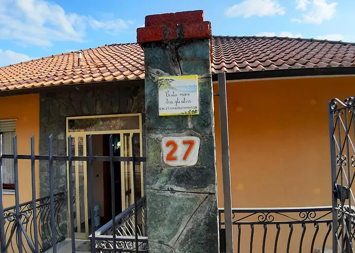 Vista Mare Tra Gli Ulivi *
