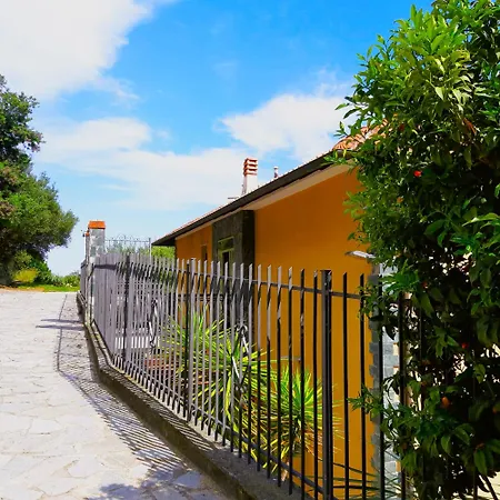 Apartamento Vista Mare Tra Gli Ulivi