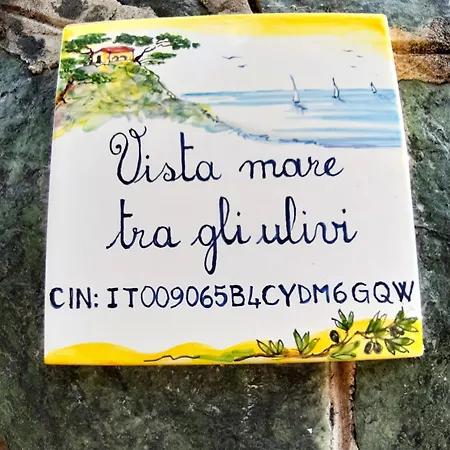 公寓 Vista Mare Tra Gli Ulivi *